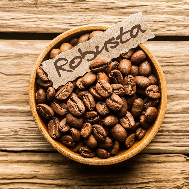 Robusta